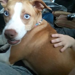 Meet your Posher, Christi